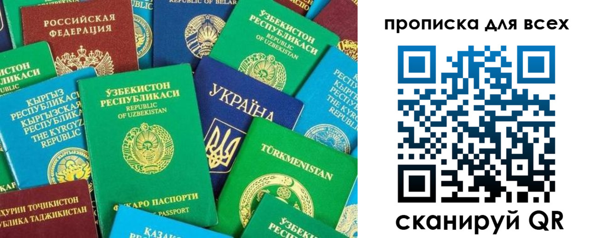 прописка в квартире в Суворове